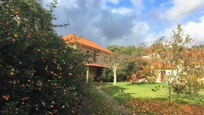 A house with a red roof, surrounded by a garden with flowering plants and a pathway. - MyStay - Casa Guito Rural House (Cepões)
