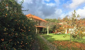 Property grounds - MyStay - Casa Guito Rural House (Cepões)