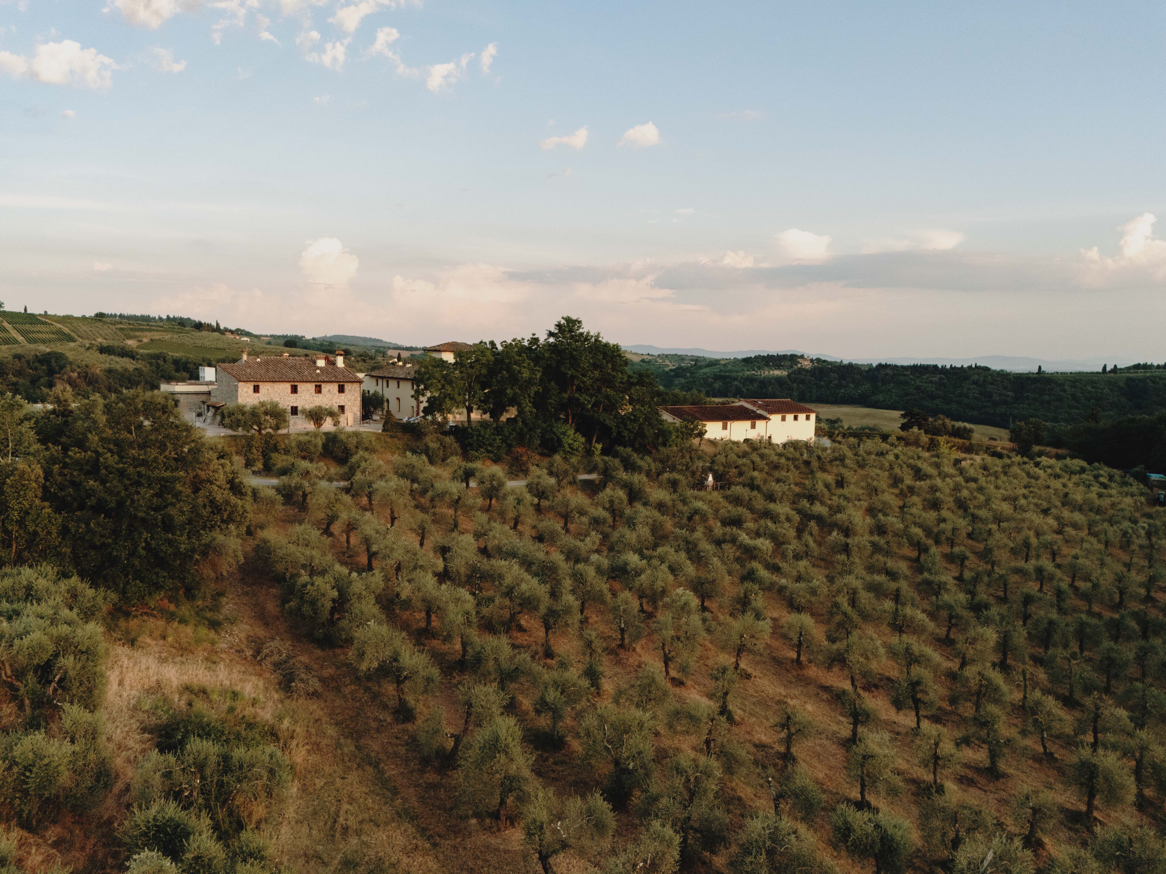 A rural landscape with olive groves and a few buildings, including a large house with a tiled roof.