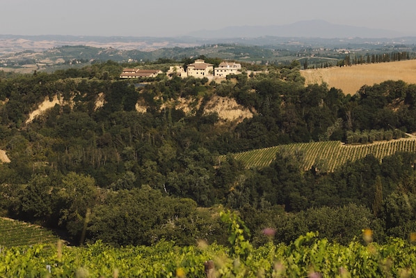 Miscellaneous - The Podere Wine Resort Chianti (Barberino Tavarnelle)