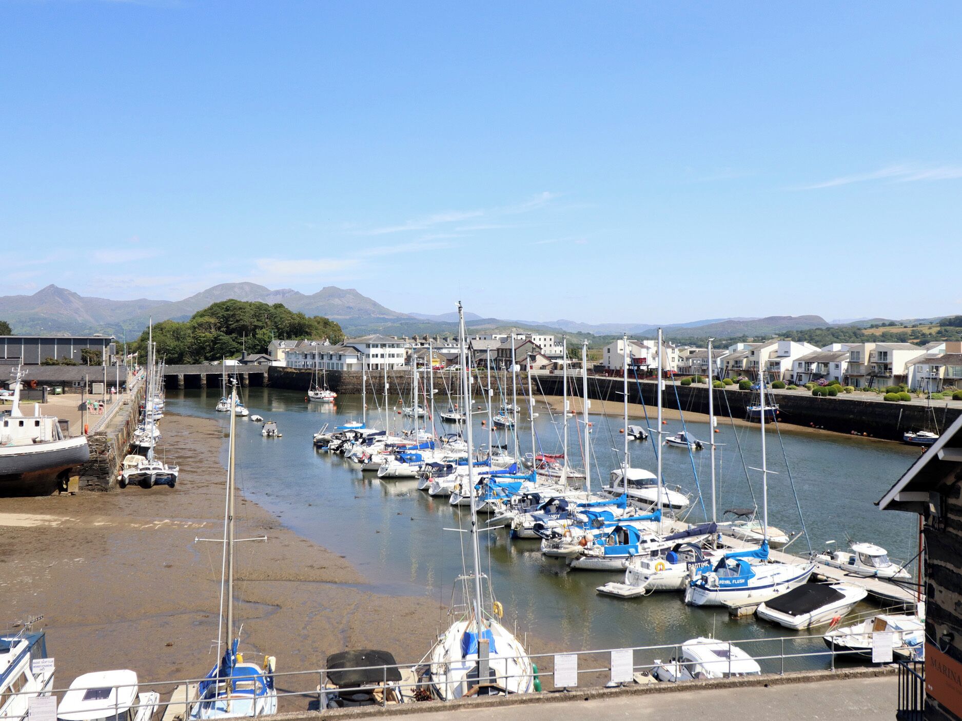 A marina with boats docked, a bridge, and buildings in the background.