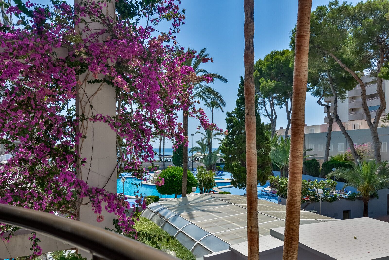 A pool area with a glass-enclosed structure, palm trees, and a building in the background.