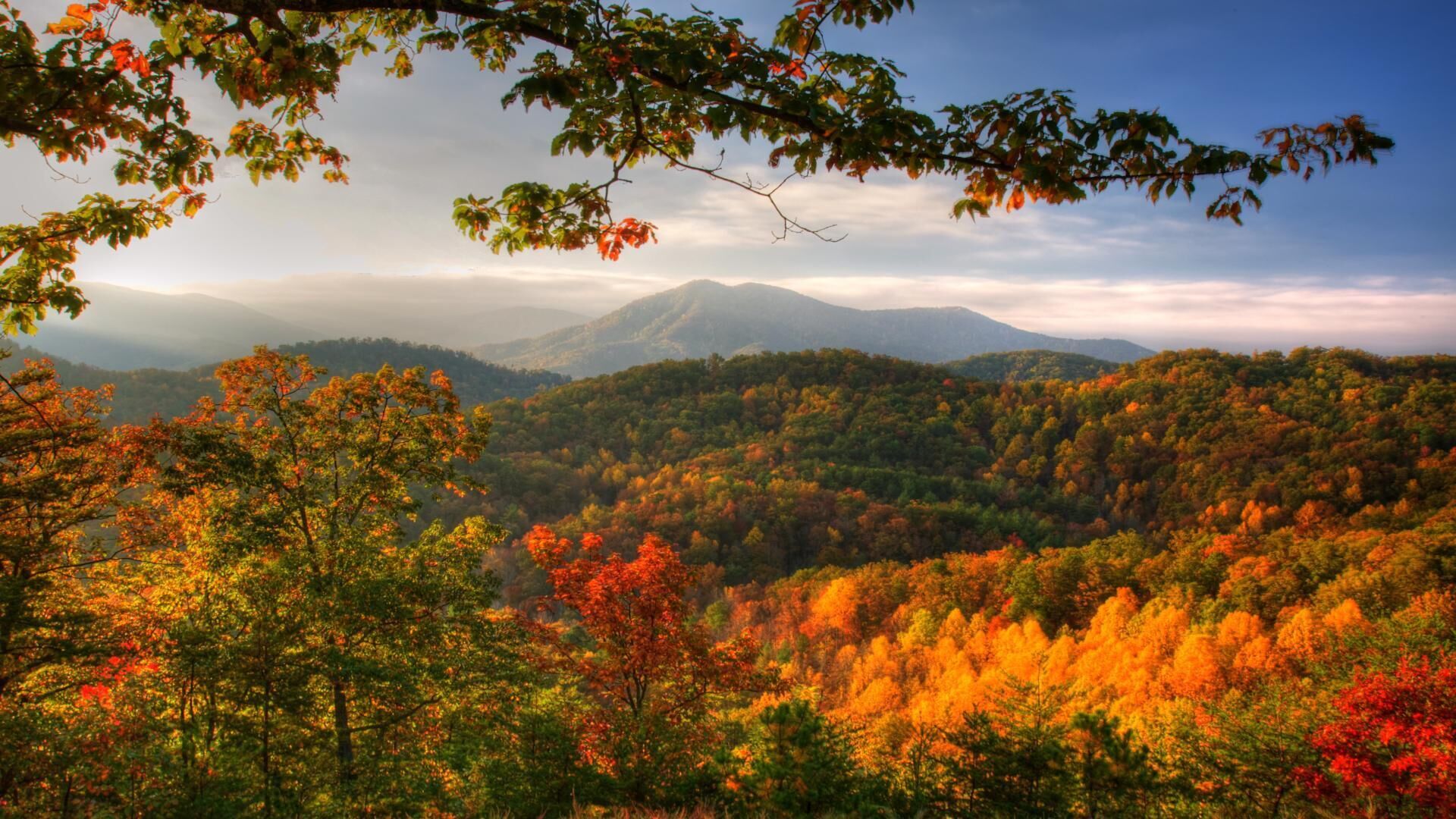 Eine bewaldete Berglandschaft mit Herbstlaub.