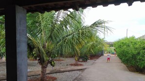 Un sentiero fiancheggiato da palme e una zona coperta con pavimento in cemento.