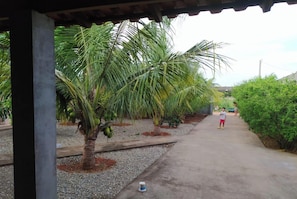 A pathway lined with palm trees and a concrete structure.