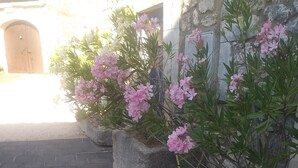 Unclassified image, 3 of 20, button - A CHARACTERFUL PROVENÇAL FARMHOUSE FOR 2 TO 10 VACATIONERS. (Goudargues)
