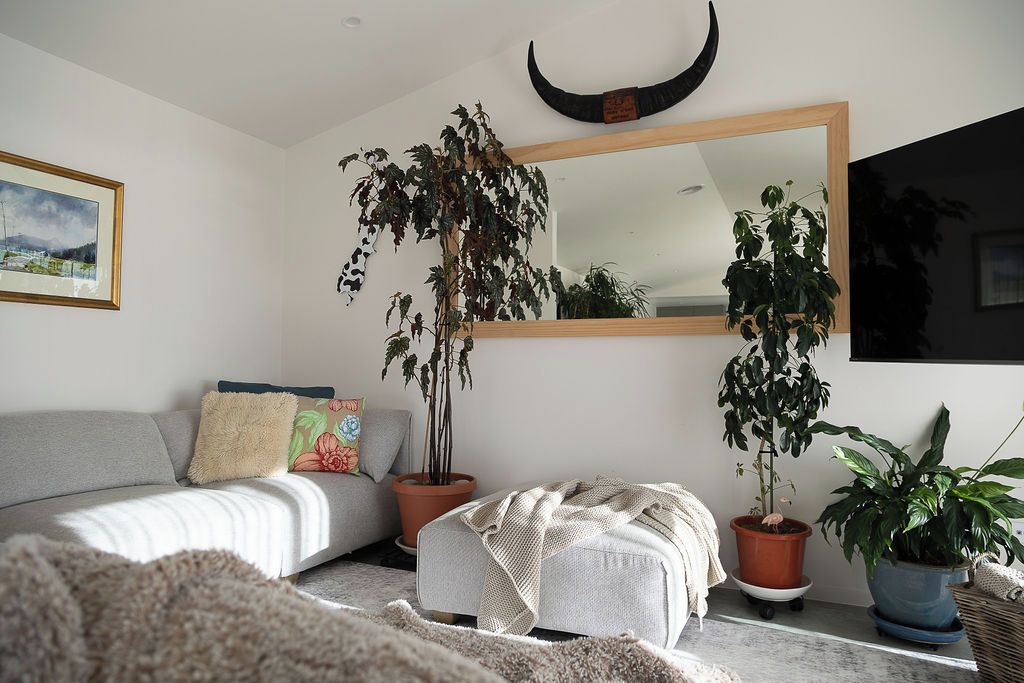 A modern living room with a sofa, a large mirror, and multiple potted plants.
