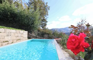 Pool - Vrbo Property (Alvite)