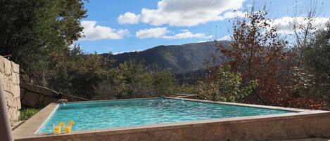 Una piscina rectangular con agua azul cristalina, rodeada por un deck y un muro de piedra.