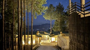 A pathway leading to a building with multiple rooms, surrounded by tall trees and a night sky.