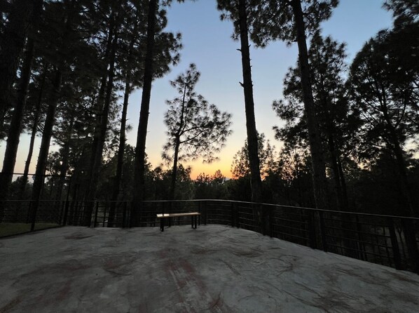 A concrete area with a bench, surrounded by tall trees and a metal fence.
