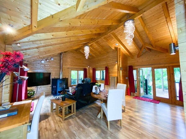 Fernseher, Kamin