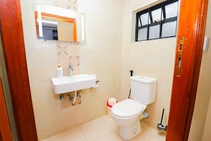 Een kleine badkamer met toilet, wastafel en spiegel.
