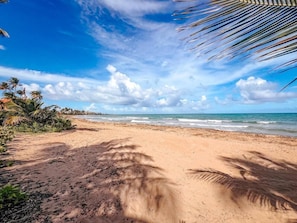 A beach with palm trees and the ocean. - Peaceful Getaway w/ Beautiful Marina Views (Palmas del Mar)