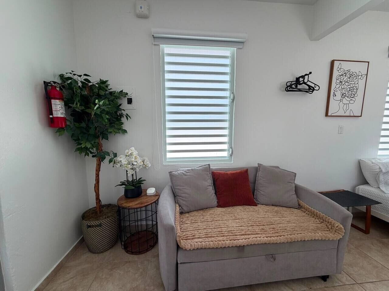 Un salon avec un canapé gris, une petite table d’appoint, une plante en pot et un extincteur fixé au mur.