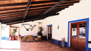 Un espacio de patio cubierto con mobiliario de mimbre, una planta en maceta y una puerta de madera.