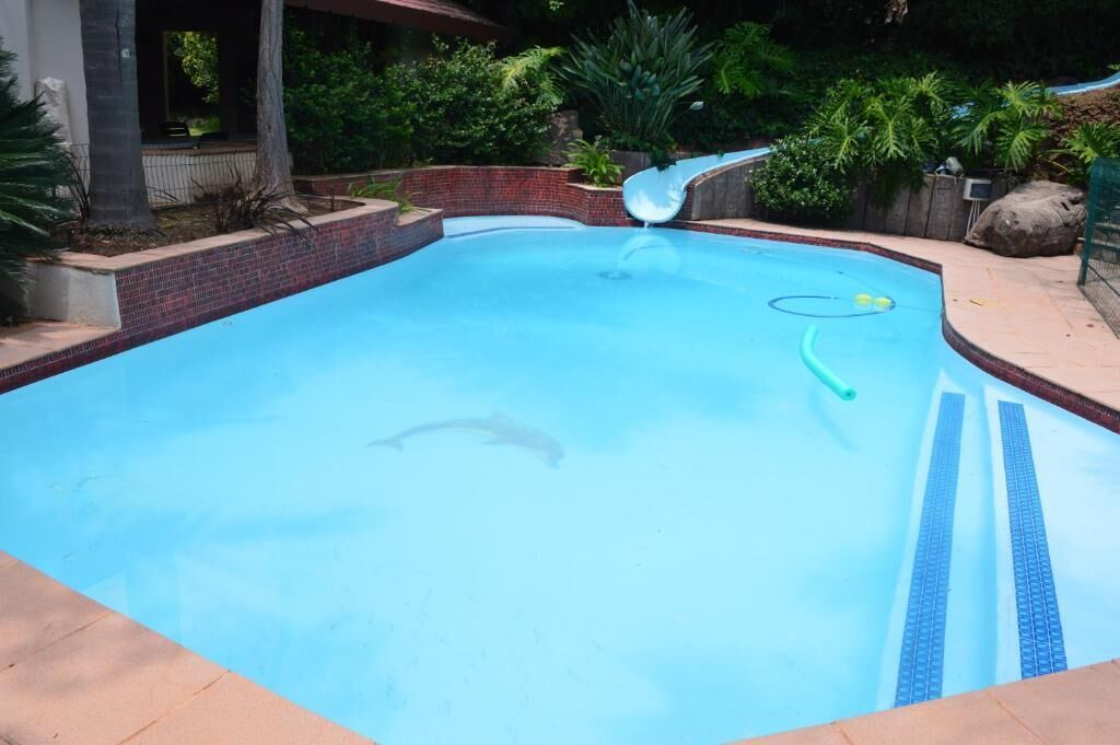 Comfort Double Room, Pool View | Pool | Outdoor pool, pool loungers