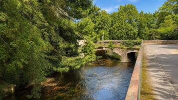 Een rivier met een stenen brug, omringd door weelderige begroeiing.