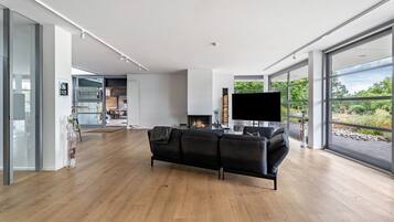 TV, fireplace
