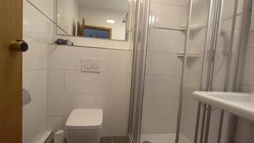 A modern bathroom with a toilet, a shower enclosure, and a mirror.