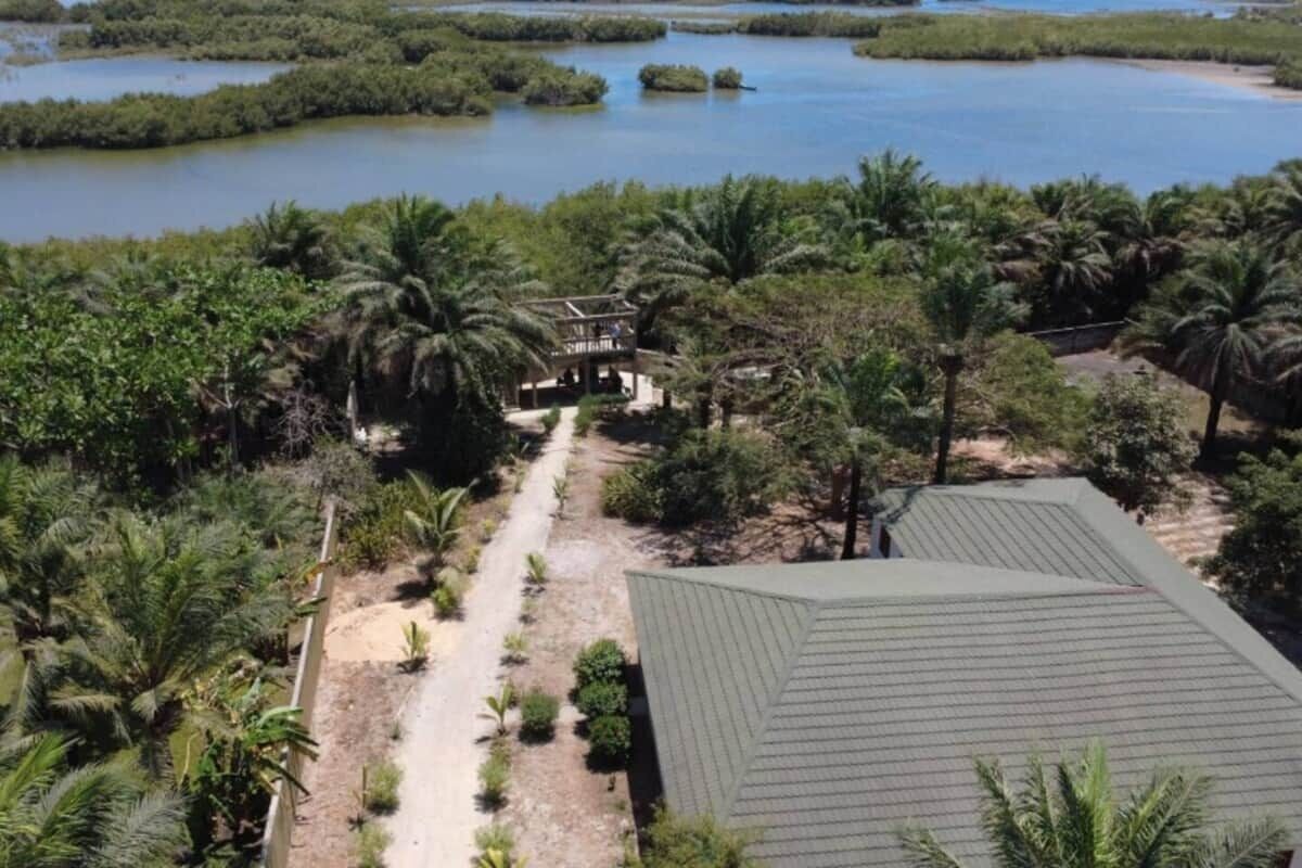 A building with a green roof, surrounded by dense greenery and water bodies.
