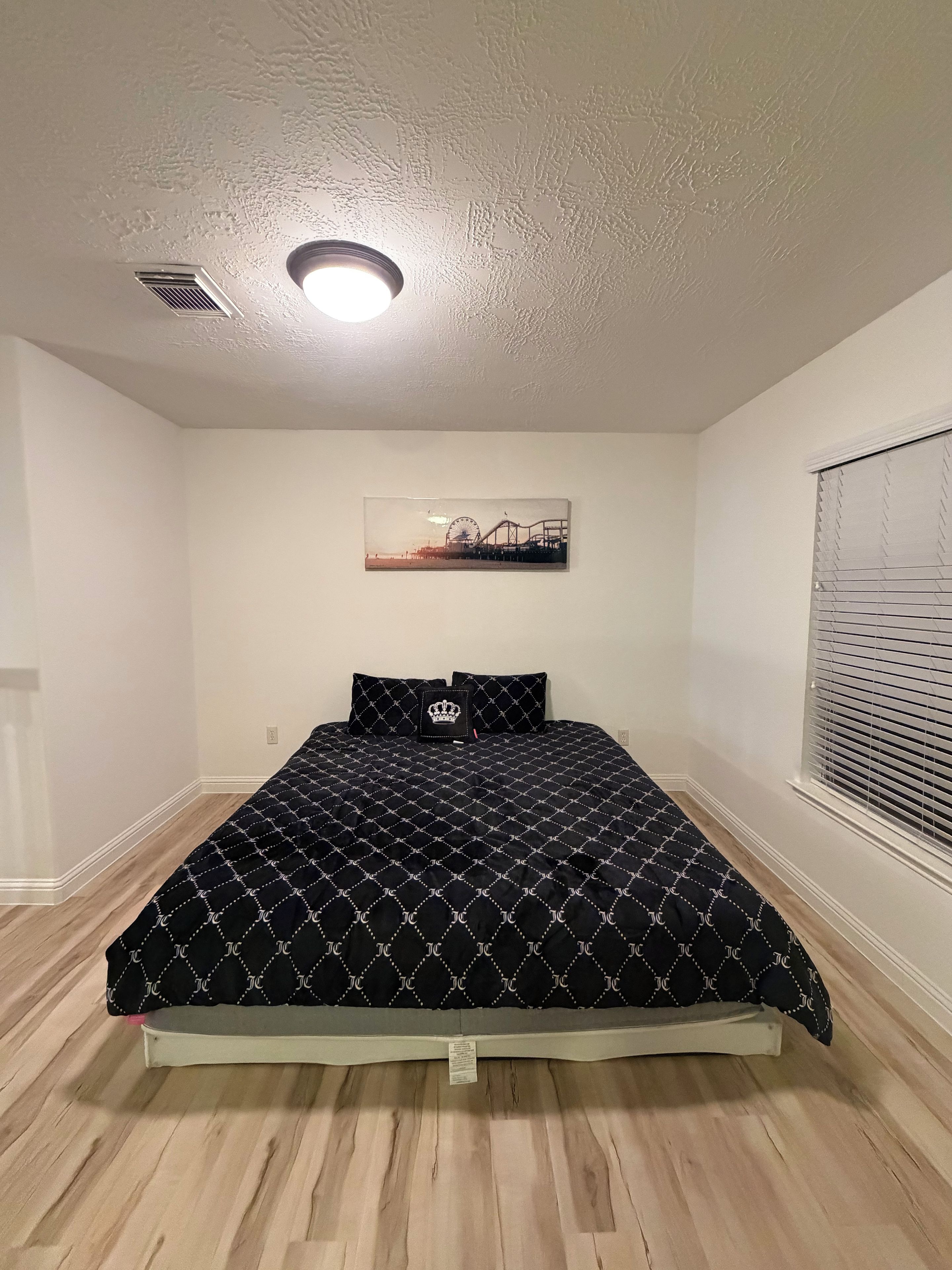A bedroom with a bed, a ceiling light, a window with blinds, and a wall-mounted picture.