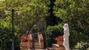 Un sentier de jardin agrémenté d’une statue, de plantes en pot et d’un escalier en pierre.