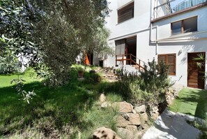 A modern two-story house with a stone pathway leading to the entrance, surrounded by lush greenery and a large tree.