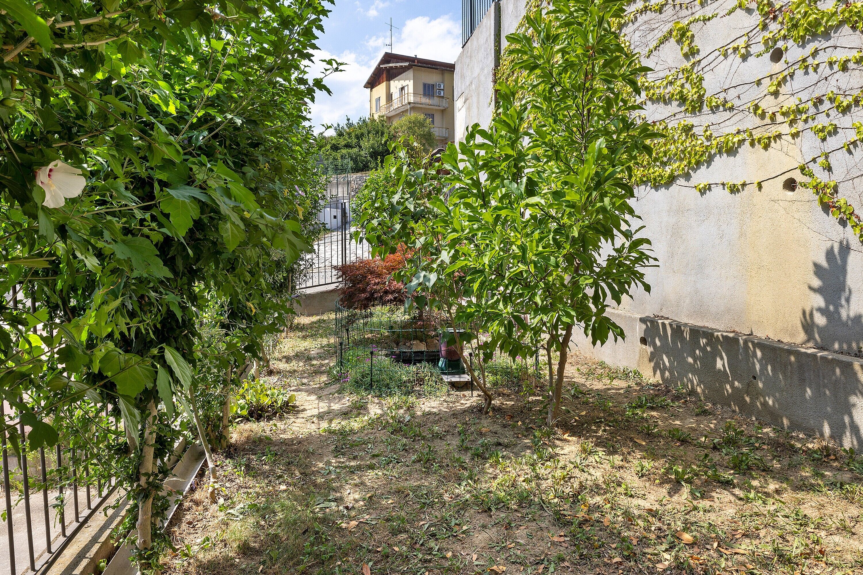 A courtyard with a garden, a metal fence, and a building in the background.