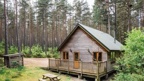 A cabin with a deck, surrounded by a forest. - Nice apartment for 4 guests with TV, patio and pets allowed (Coldstone)