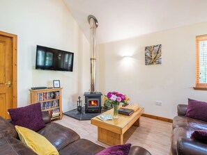 Ein gemütliches Wohnzimmer mit Kamin, Flachbildfernseher, Bücherregal und bequemen Sitzmöglichkeiten.