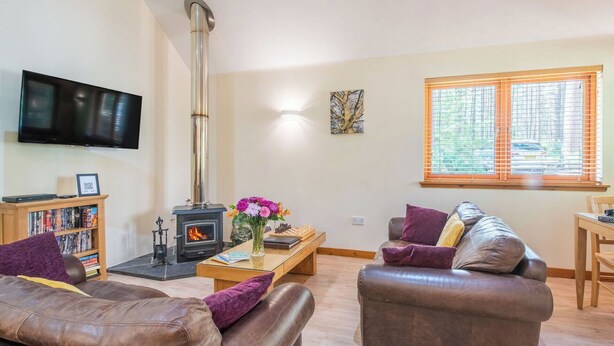 A living room with a fireplace, leather sofas, a flat-screen TV, and a bookshelf. - Cosy apartment for 4 people with TV, patio and pets allowed (Coldstone)