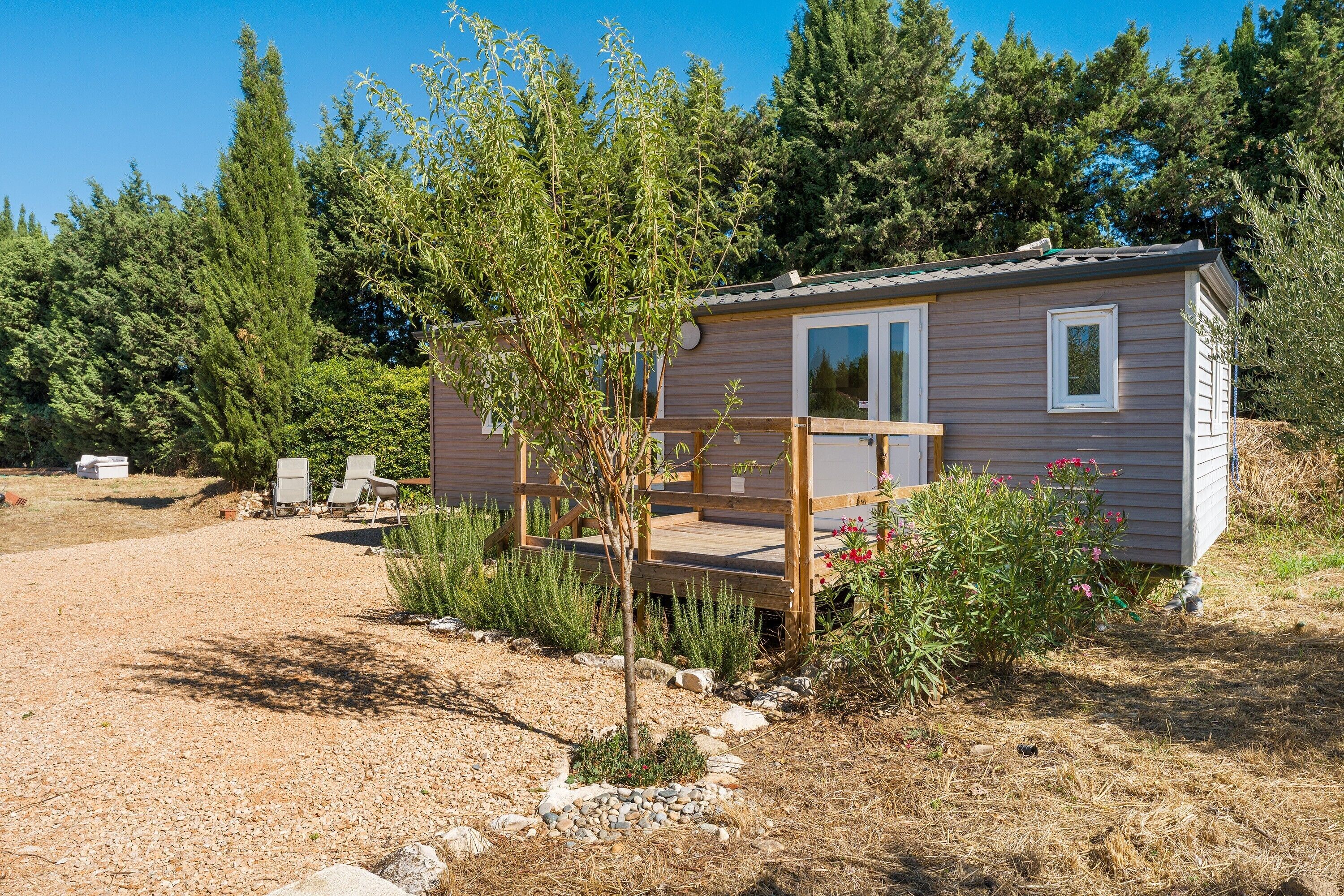 A small wooden cabin with a deck, surrounded by trees and shrubs.