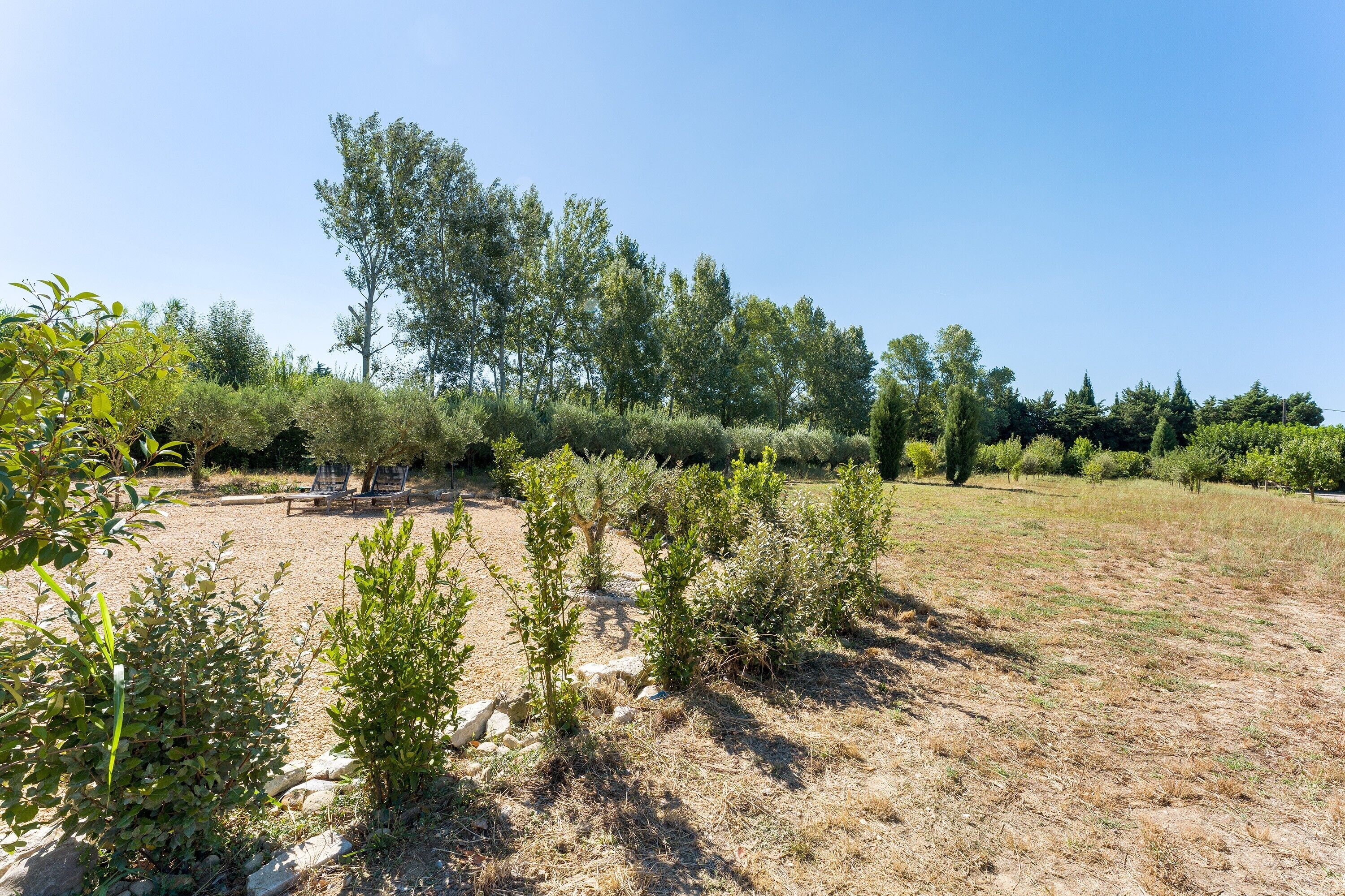 A dry, rocky landscape with sparse vegetation and a few trees in the background.