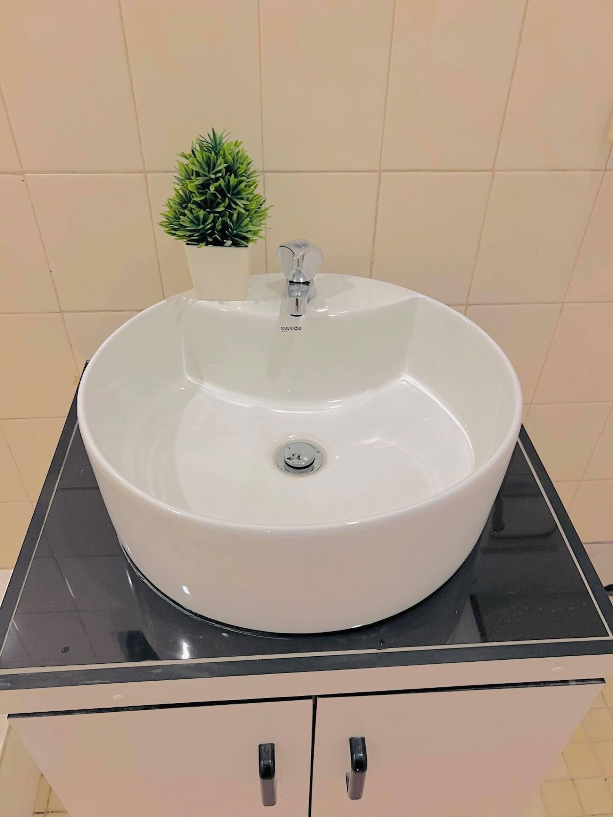 Ein weißes Waschbecken mit einem einzelnen Wasserhahn, ein kleiner Topfpflanze und ein Schrank mit zwei Griffen.