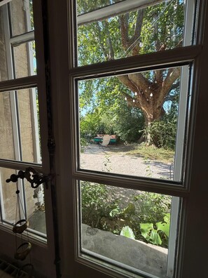 A window with a view of a tree and outdoor seating area.