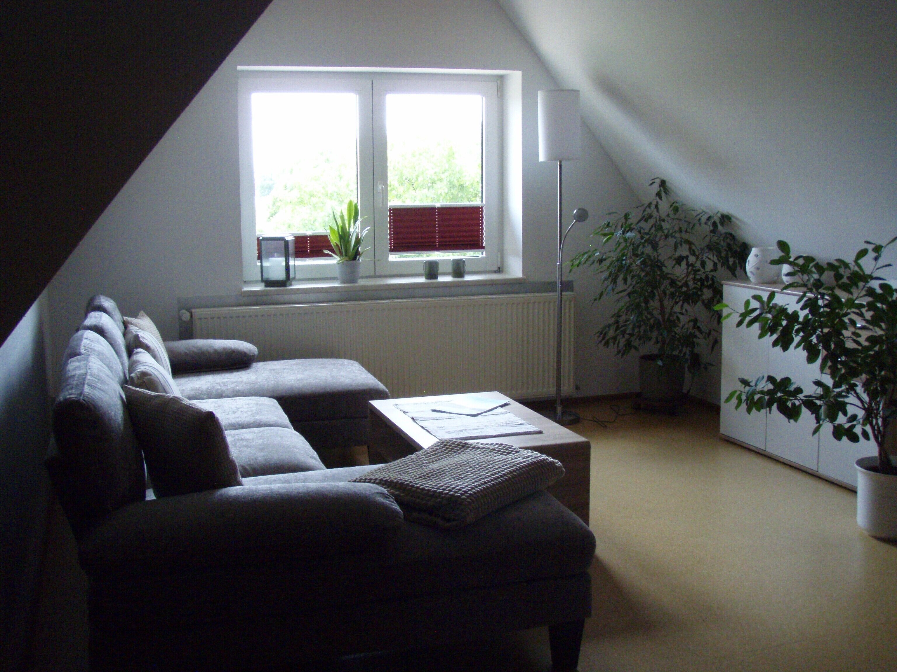 Fernseher, Stereoanlage