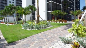 Um caminho ajardinado com palmeiras e arbustos, que conduz a um edifício moderno com varandas.