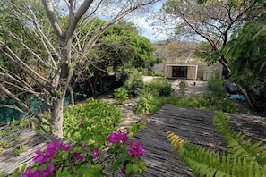 A garden with a wooden deck, a tree, and a shed.