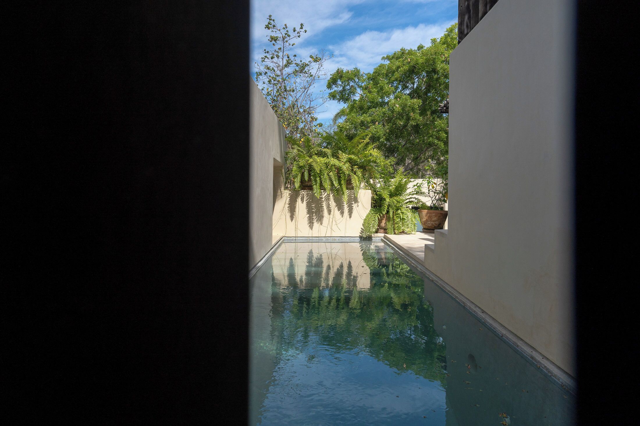 A swimming pool with a clear view of the sky and surrounding greenery.