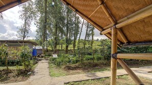Phòng Tiêu chuẩn | Khuôn viên nơi lưu trú