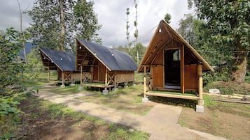 Dos cabañas de madera con techos inclinados, rodeadas de follaje y un sendero de tierra.