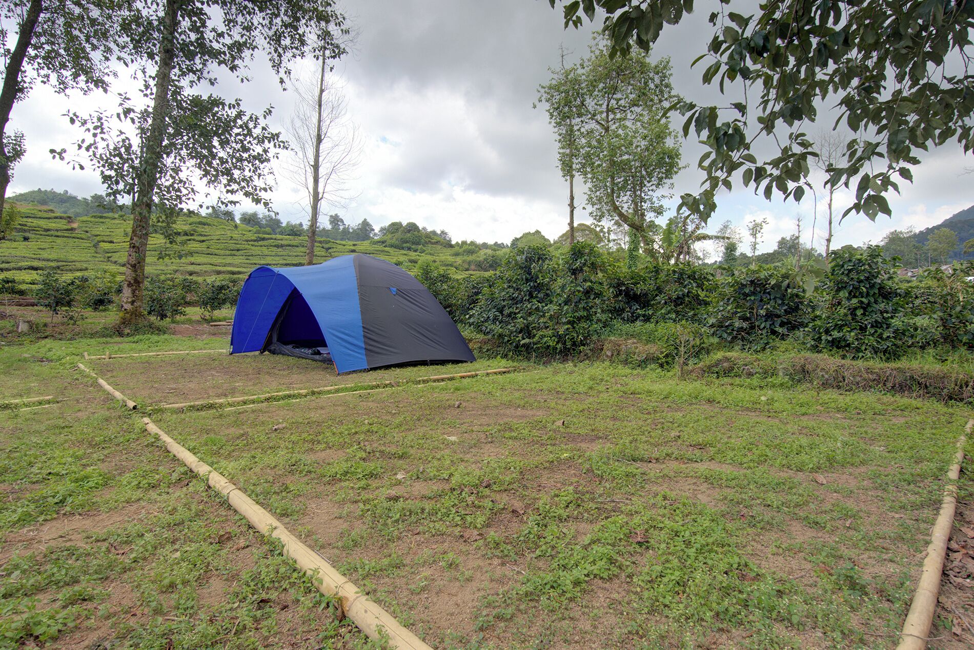 Khuôn viên nơi lưu trú