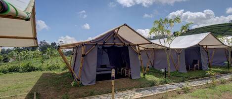 A series of tents with a stone pathway leading to them, set in a lush green area with a clear sky.