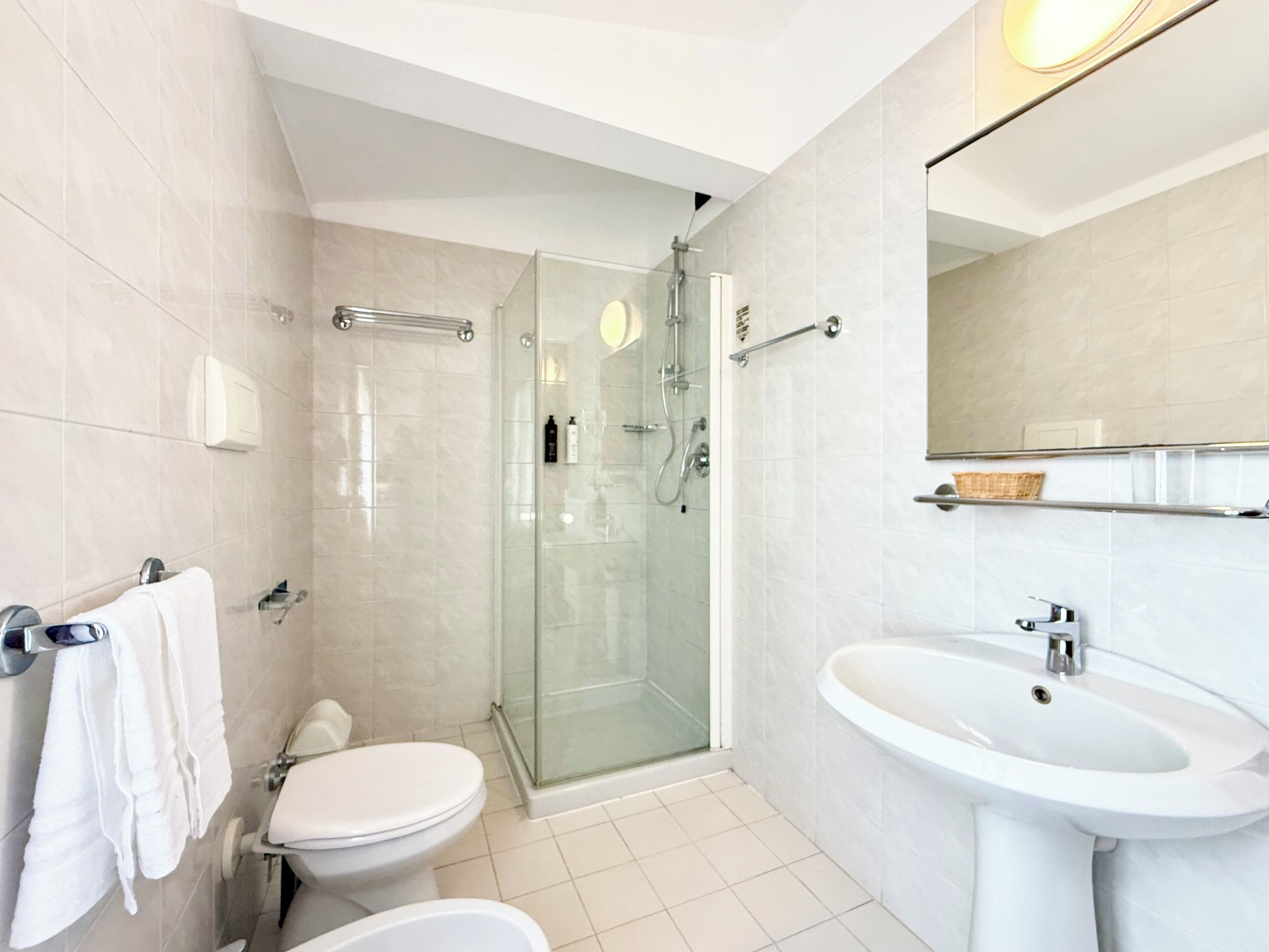Un baño moderno con ducha envuelta en vidrio, un lavamanos blanco y un inodoro.