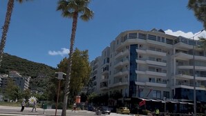 Un edificio de varios pisos con balcones, un paso de peatones y palmeras.