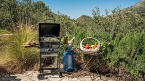 An outdoor grilling setup with a gas tank, a basket of fruits, and a bottle of oil. - Villa Le Terrazze Blu (Sicilia)