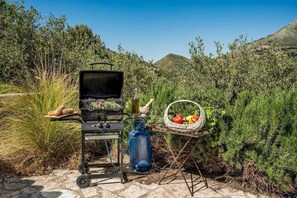 An outdoor grilling setup with a gas tank, a basket of fruits, and a bottle of oil. - Villa Le Terrazze Blu (Sicilia)