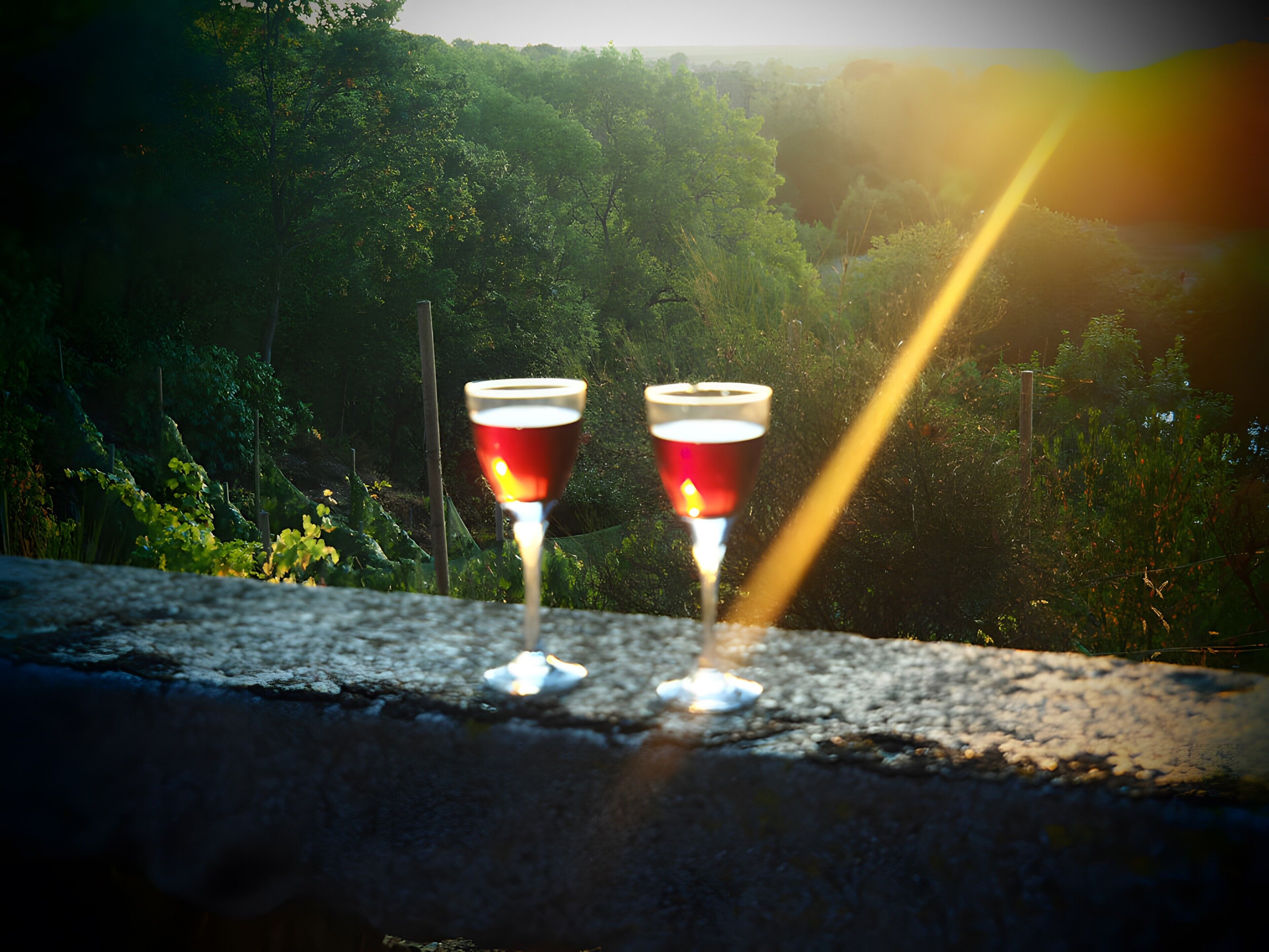 Two glasses of red liquid on a ledge with a forested background.