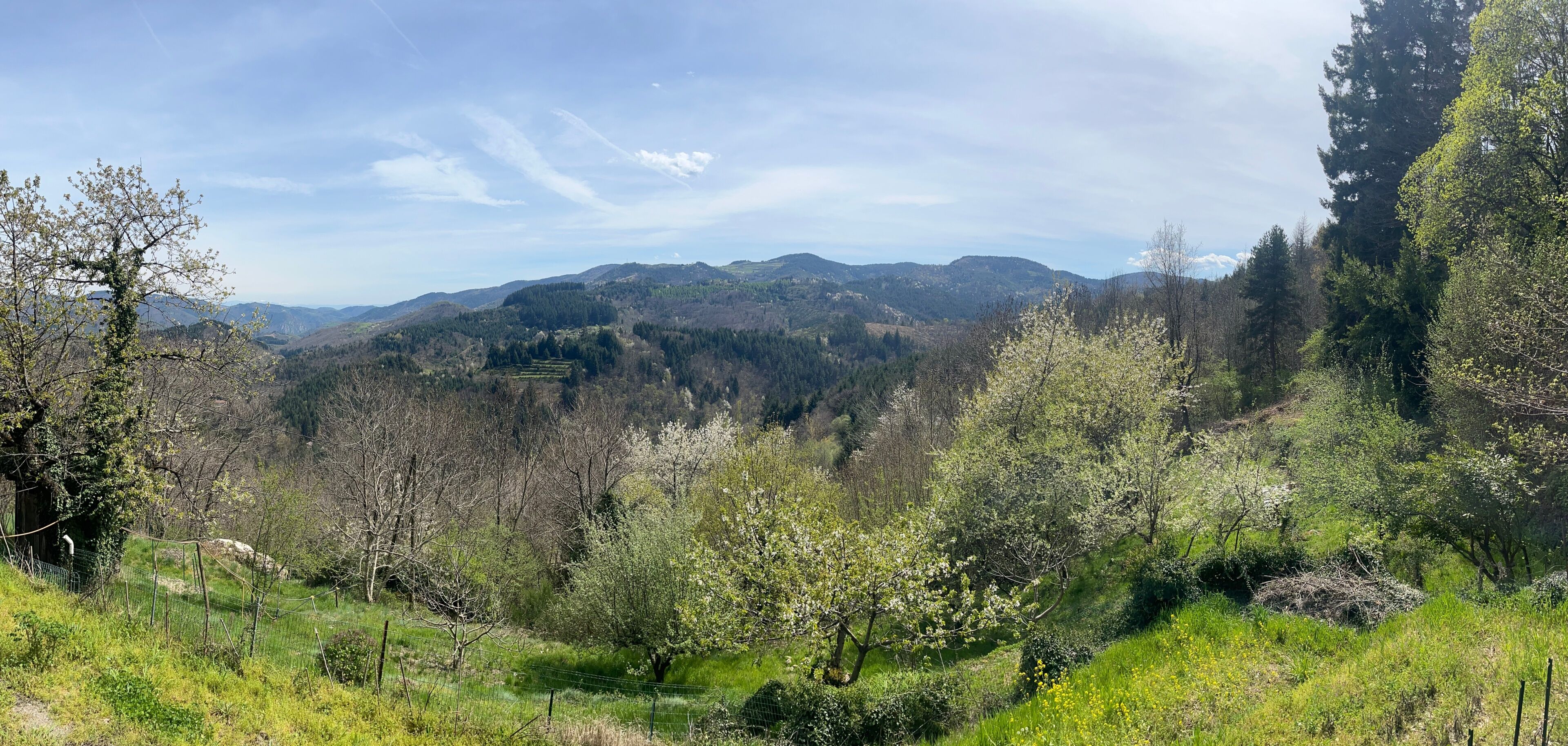 Un paisaje montañoso con diversos árboles y un cielo despejado.